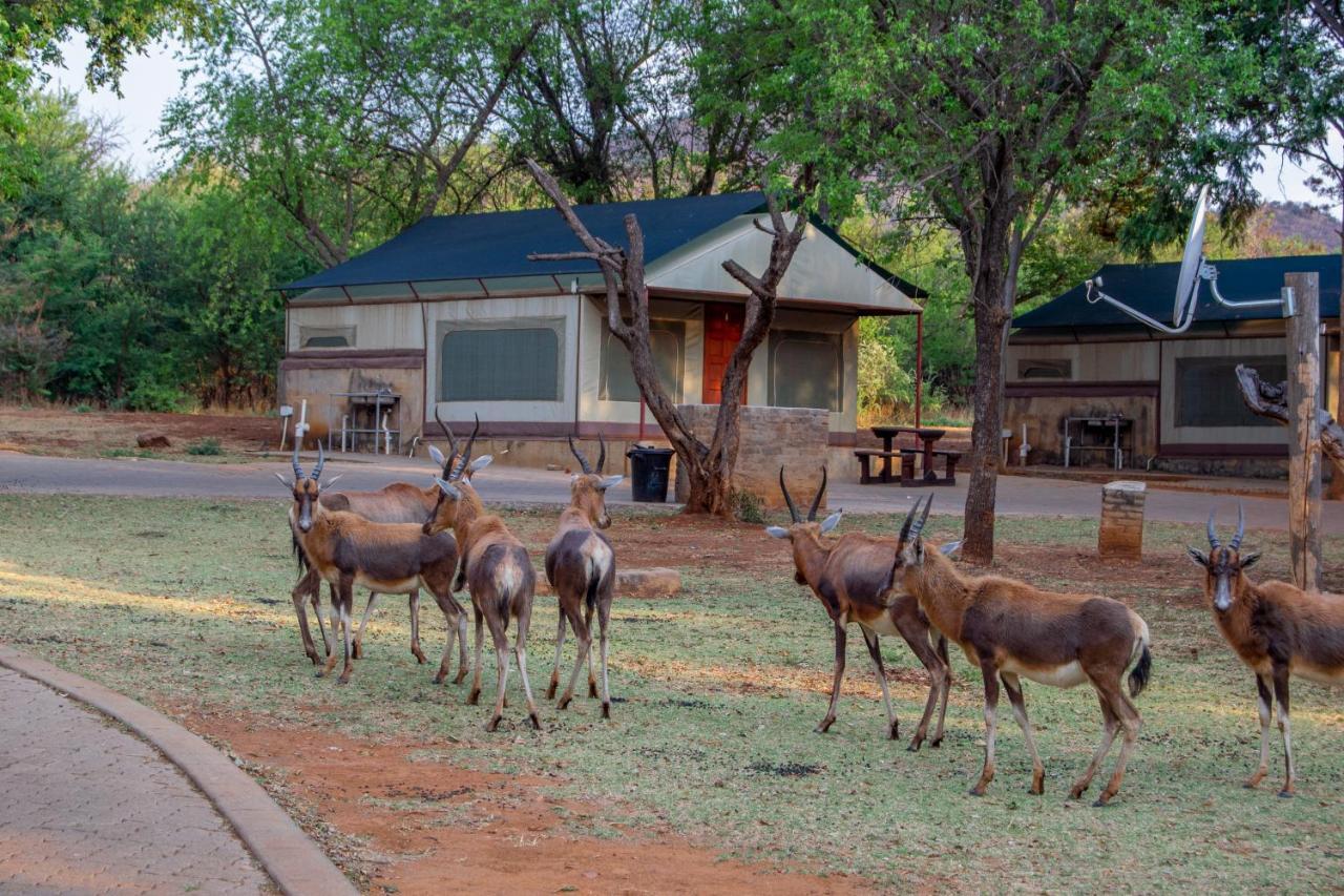 Eagle Waters Wildlife Resort Hartbeespoort Exterior photo